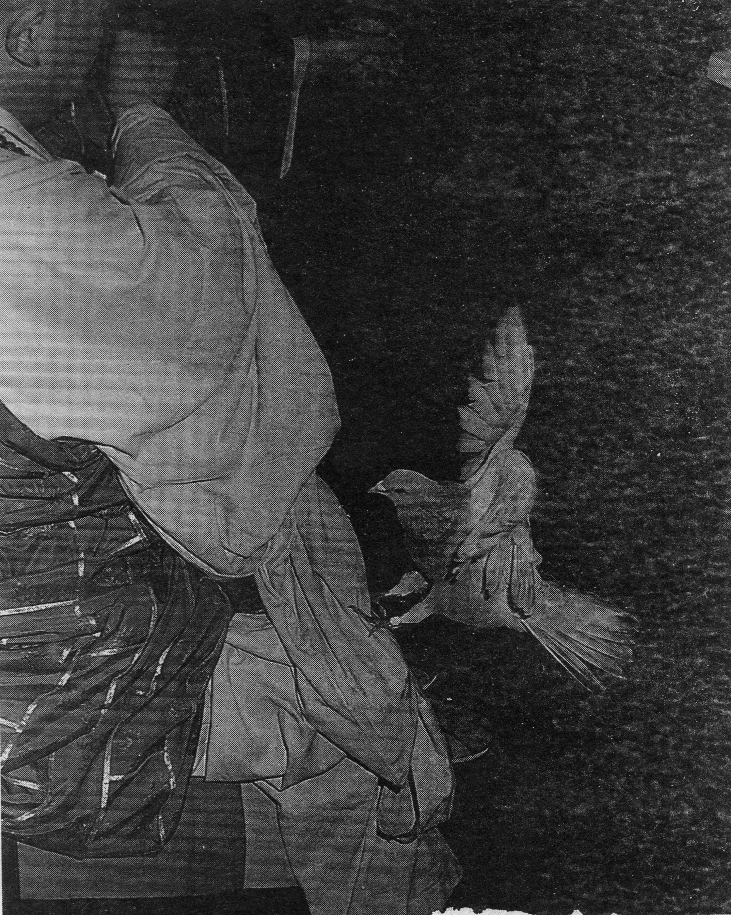 �����Ϻ���׷˼����ר��2 - �����û� ͷ���м���In Memory of the Venerable Master Hsuan Huan - Transformation of a Bodhisattva,