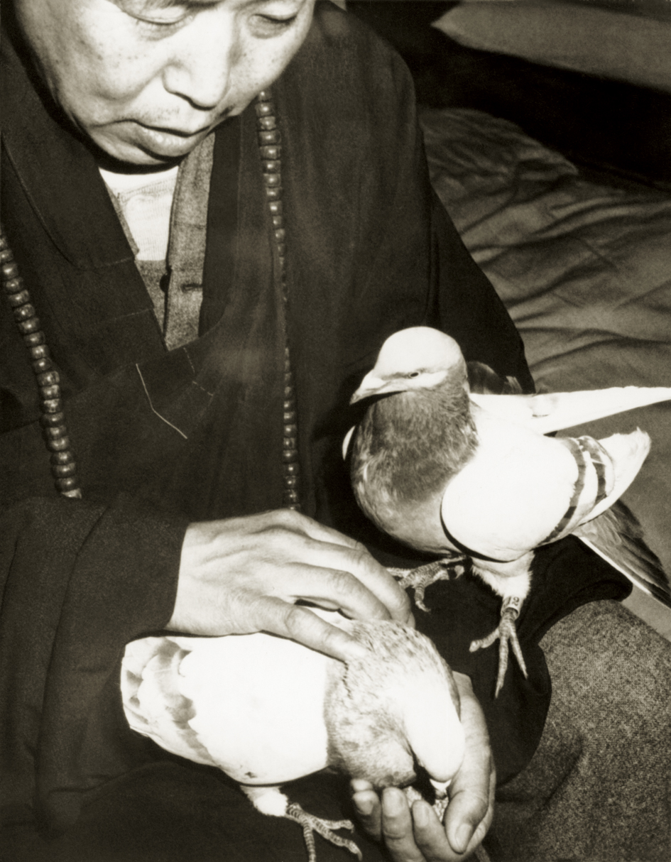 �����Ϻ���׷˼����ר��2 - �����û� ͷ���м���In Memory of the Venerable Master Hsuan Huan - Transformation of a Bodhisattva,