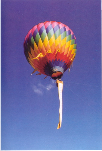 宣化老和尚追思纪念专集 - 照片选辑．In Memory of the Venerable Master Hsuan Huan - Photographs