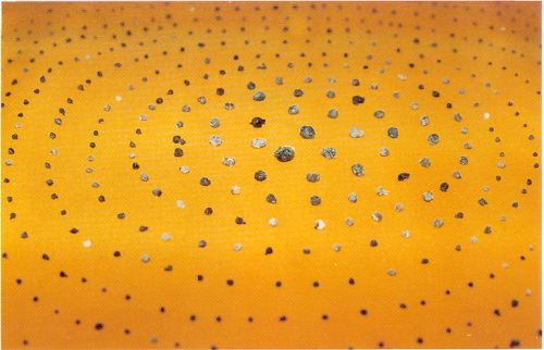 宣化老和尚追思纪念专集 - 照片选辑．In Memory of the Venerable Master Hsuan Huan - Photographs