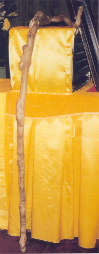 宣化老和尚追思纪念专集 - 照片选辑．In Memory of the Venerable Master Hsuan Huan - Photographs